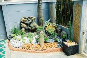 Bluebonnet Primavera