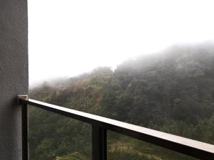 Genting RelaxingColdStudio AT Ion Delemen