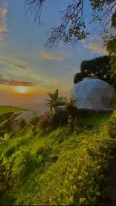 Andino Glamping - Utica