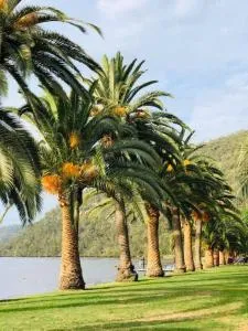 Riva on the Hawkesbury - Singletons Mill