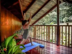 Casa of Dreams - Dos Brazos