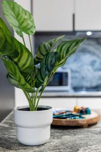 Harry-WSP JawDropView 3B2B w Parking Near SkyBus