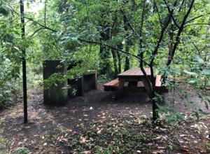 Dpto 4 personas 1er piso con patio Pucon