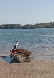 Maroochydore Waters BnB