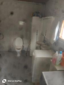 Skaftung viking House