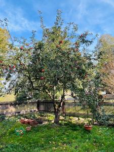 Apartmany Klub Jablíčko