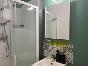 Appartement hyper centre climatisé