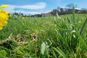 Maisons de vacances Le Grenier de Jules et Marguerite : photos des chambres