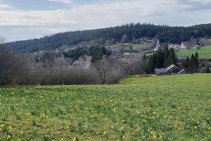 Maisons de vacances Le Grenier de Jules et Marguerite : photos des chambres