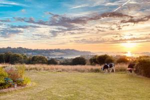 Maisons de vacances Bug Ar Mor - Vue Exceptionnelle des 7 Iles : photos des chambres