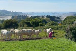 Maisons de vacances Bug Ar Mor - Vue Exceptionnelle des 7 Iles : photos des chambres