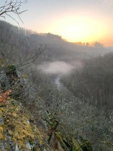 La chauve souris Home