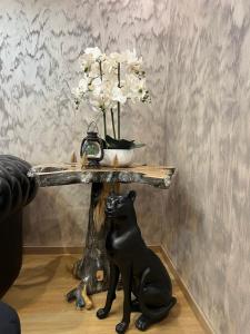 Villas Maison De Luxe Pour 14 personnes - SPA - Billard - Sport - Baby-foot : photos des chambres
