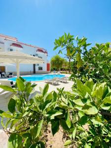 Magawish villa in the heart of the city