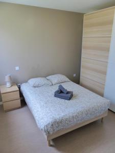 Appartements Le Zambeze - Calme et spacieux - parking couvert : Appartement 1 Chambre