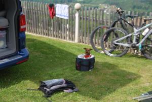 Weinberg-Panorama- Camping