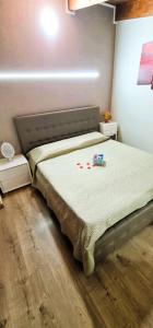 Luxury CASELLO 28 Affitti Brevi