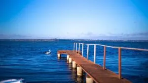 Absolute Waterfront Hidden Gem Toukley - Gorokan