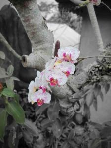 Gana Bali Guest House