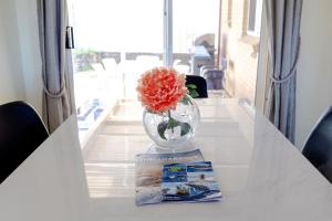 Coastal Delight In Shellcove