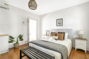 Multi Level Surry Hills Home with Terrace