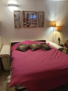 Appartement pla dadet aux pieds des pistes