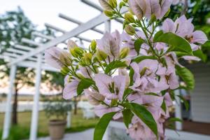 Janie s Cottage Secluded Wine Country Home
