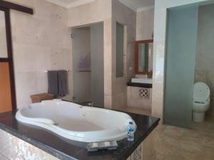 Private villa with swimming pool