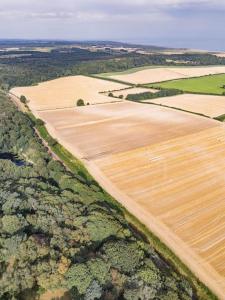 Pine Lodge - Norfolk Cottage Agency