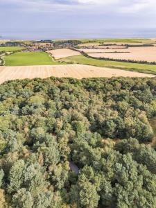 Pine Lodge - Norfolk Cottage Agency