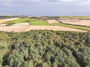 Pine Lodge - Norfolk Cottage Agency