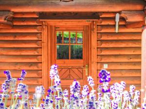 Chalet Chalet Sept by Interhome