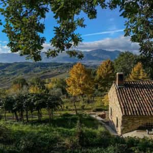 Tenuta SantoJanni - Irpinia