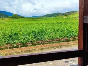 Le Vign'Art - 坦嫩基什