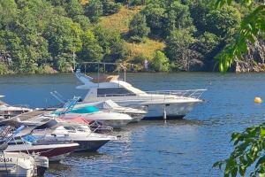 Nuits insolites sur un bateau 12m en pleine nature