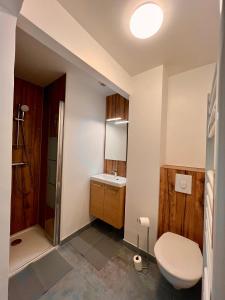 Appartements Appart- Hotel LE CYGNE gare : Appartement 1 Chambre
