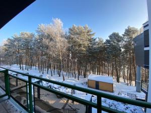 Green Diamond Zegrze