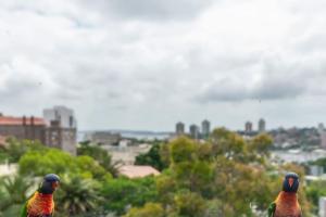 City Stay with Stunning Views Free Parking