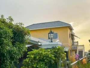 Satin Dreams Jamaica - Steer Town