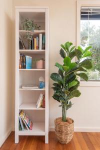 Ocean Views Walk to Malua Beach EV & Pet Friendly