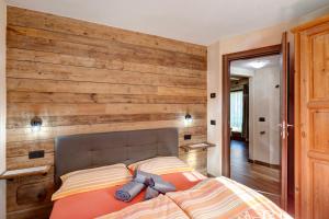 Sole tra le Cime - Trepalle