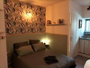 Appartements Studio hyper centre : photos des chambres
