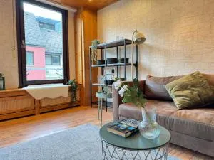 Großes Apartment an der Loreley - 圣戈阿尔