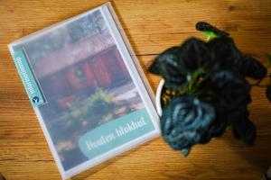 Huisdiervriendelijk houten huisje in het groen