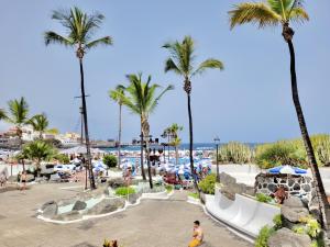 Alta Beachside Apartments