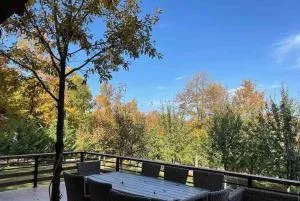 Villa Mali Stanishor - Sijarinska Banja