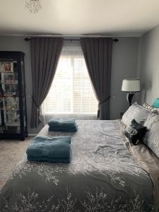 Charming 3 bed 3 bath home, super cozy, close to DIA