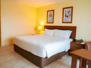 Abuja Continental Hotel - Абуджа