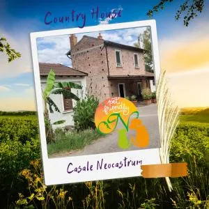 Casale Neocastrum - Curinga