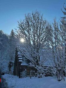 Maisons de vacances Maison familiale au coeur des Pyrenees ! : photos des chambres